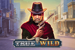 True Wild slot