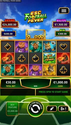ESC Football Fever screenshot 1