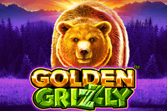 Golden Grizzly slot