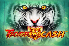 Tiger Cash slot