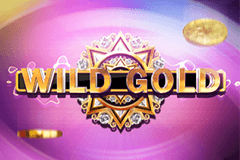 Wild Gold slot