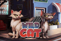Wild Cat slot