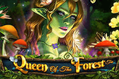 Queen of the Forest slot