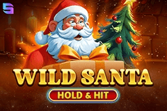 Wild Santa Hold & Hit slot