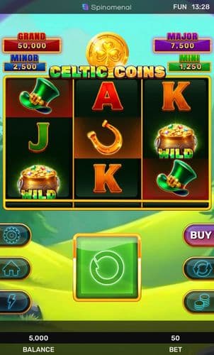 Celtic Coins - Hold & Hit 3x3 screenshot 1