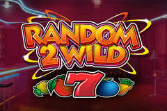 Random 2 Wild slot