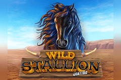 Wild Stallion slot