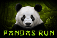 Pandas Run slot