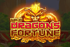 Wild Dragon's Fortune slot
