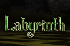 Labyrinth slot