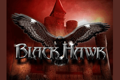 Black Hawk logo
