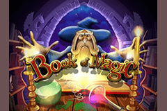 Book of Magic slot