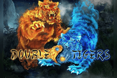 Double Tigers slot