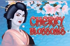 Cherry Blossoms slot